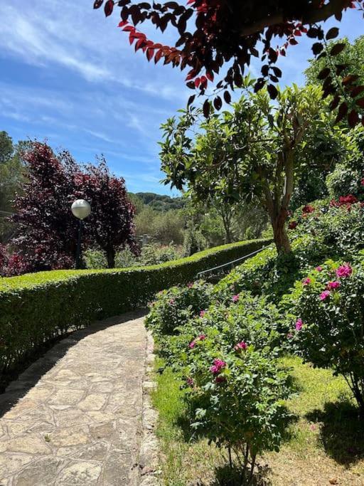 Apartamento De Lujo Vergel Suite San Martín de Valdeiglesias エクステリア 写真